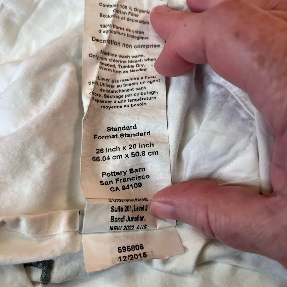 Pottery Barn Embroidered Sham Standard Size
